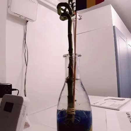 Acasa In Apartment
