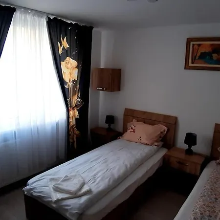 Apartment Acasa In Piatra Neamt